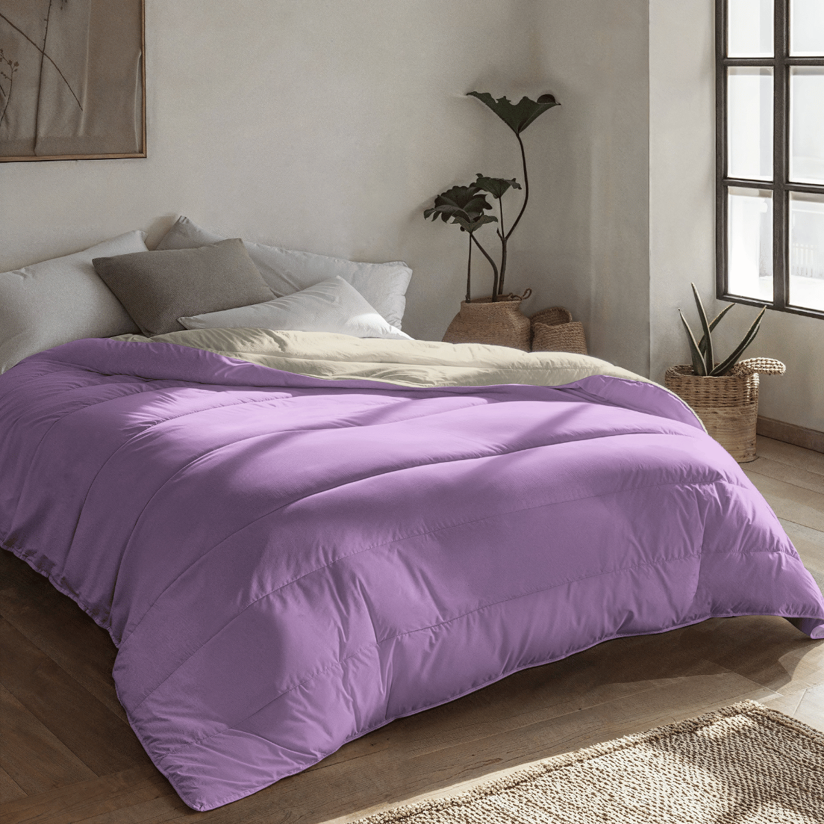 Zelesta Royalbed Light - Lila & Sand Beach