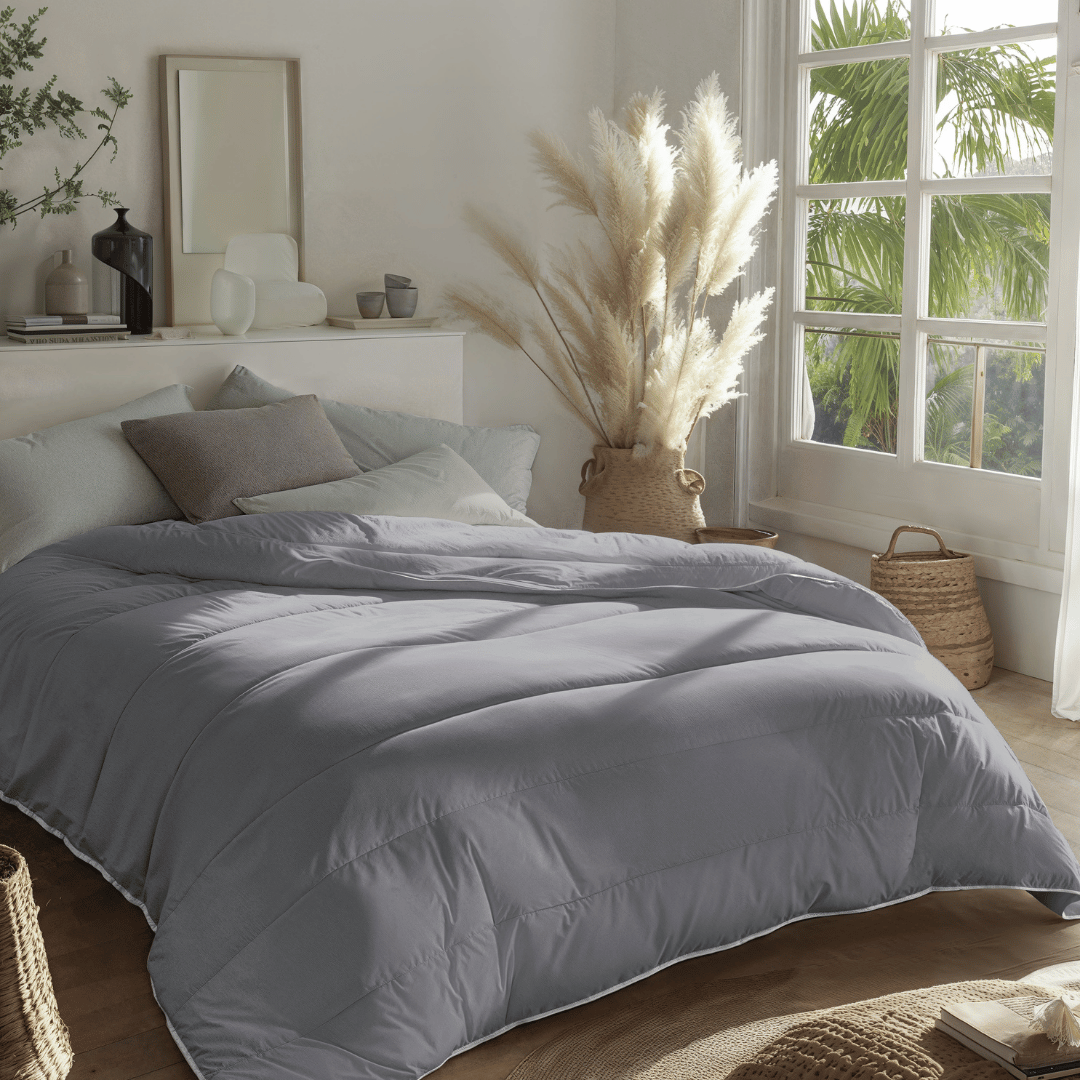Zelesta Royalbed - Antracit