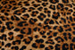 Paketerbjudande Jaguar Skin