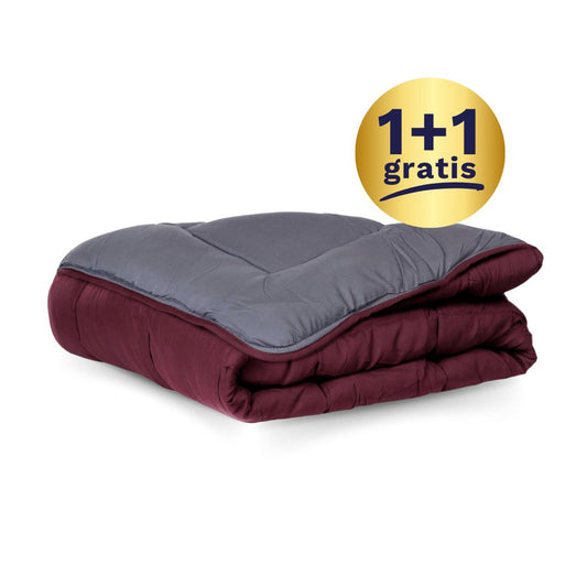 1+1 Zelesta Easybed - Lila & Antracit (XL)