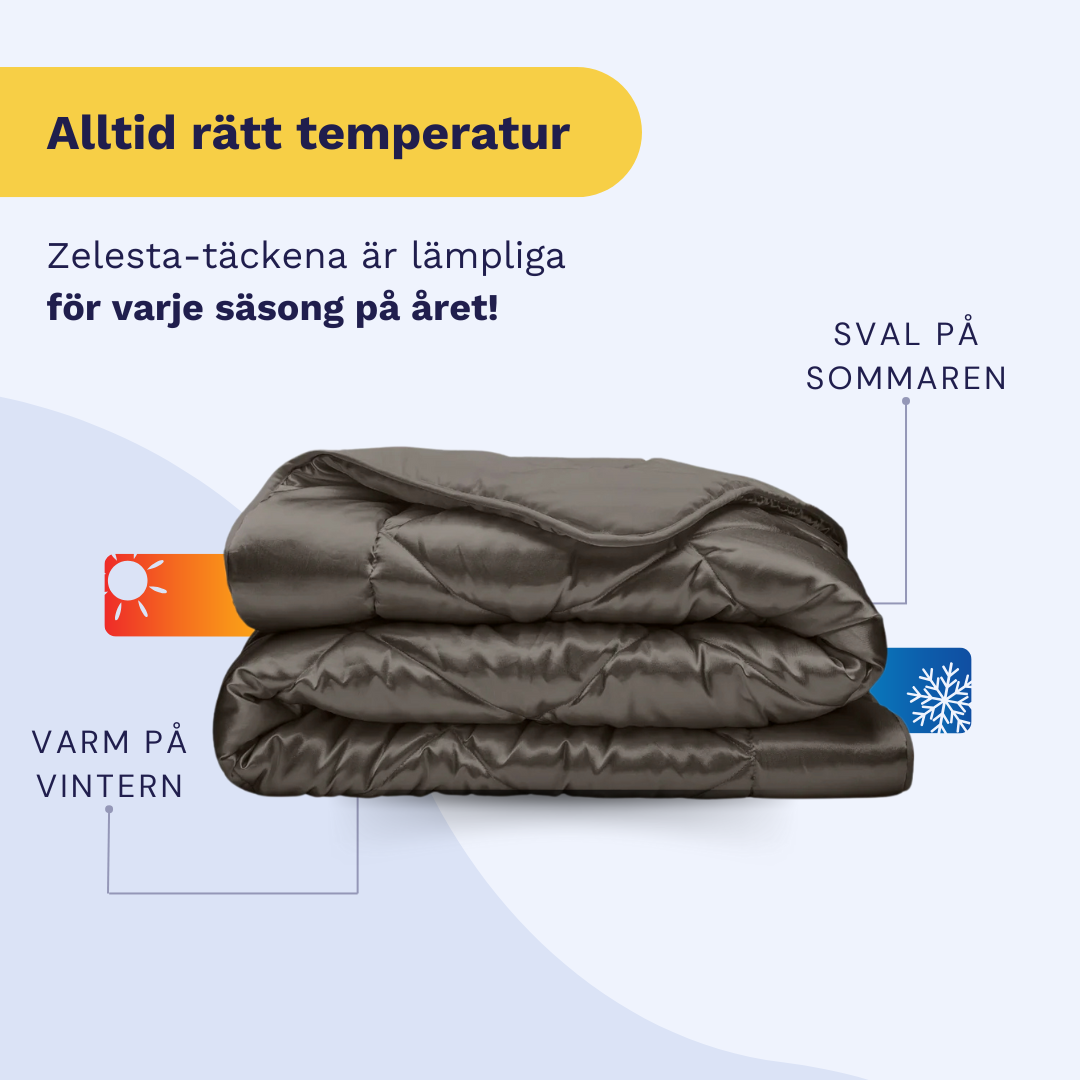 Zelesta Beautybed - Amazing Anthracite