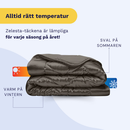 Zelesta Beautybed - Amazing Anthracite